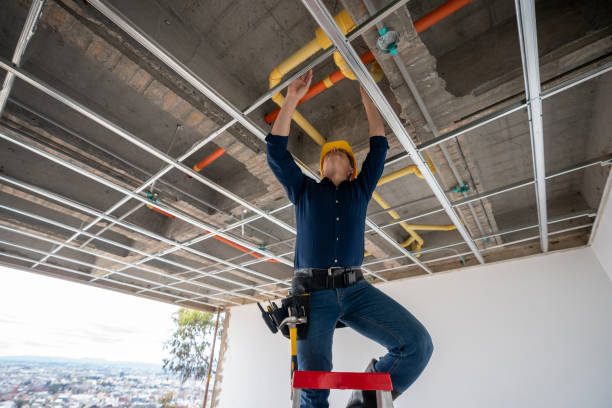 Best Local Plumber Services  in Lake Ripley, WI