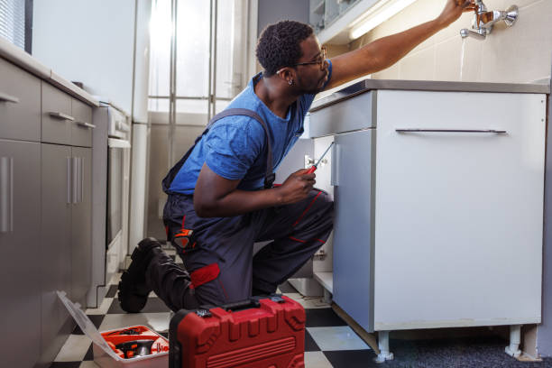 Best Affordable Plumbing Services  in Lake Ripley, WI